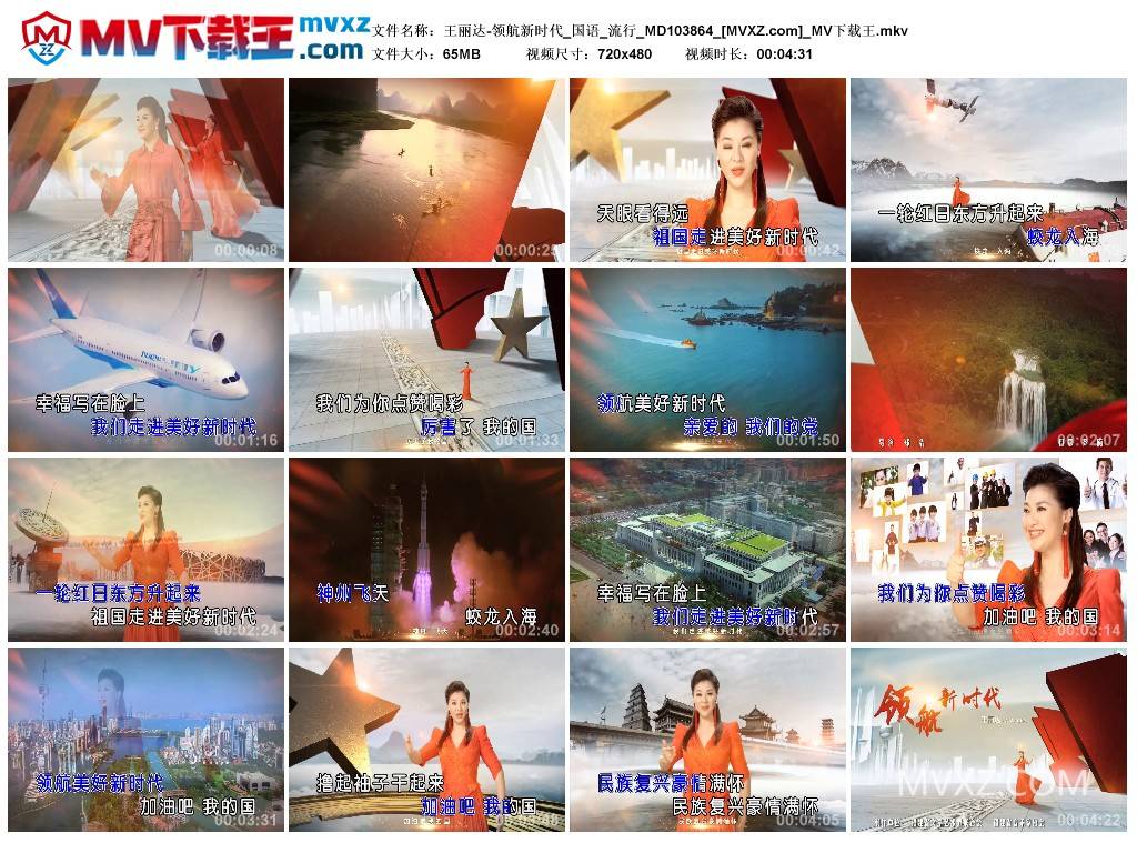 王丽达-领航新时代_国语_流行_MD103864